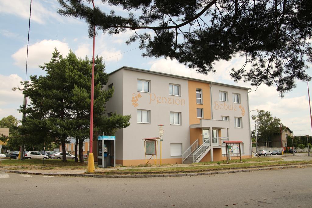Penzion Bobule Stare Mesto  Exterior photo